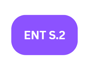 ENTREPRENEURSHIP- S.2